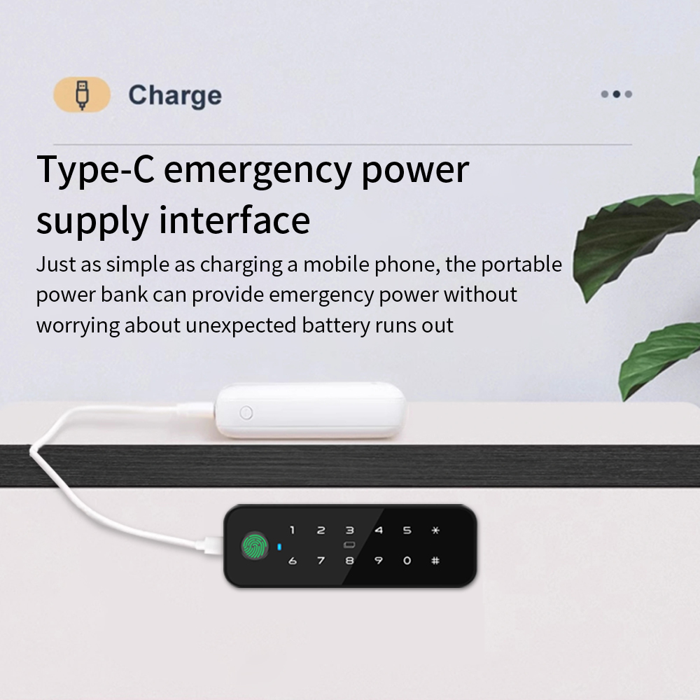 Tuya Bluetooth Inteligentna dr – Furniture Hardware Bolts recenzja i cena
